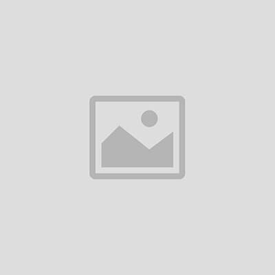 Construction & Building Materials